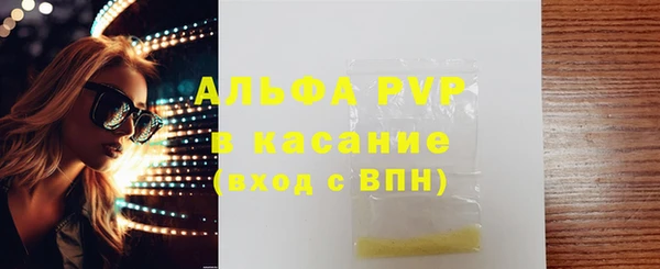 ПСИЛОЦИБИНОВЫЕ ГРИБЫ Горно-Алтайск