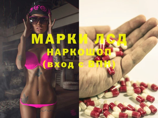 ПСИЛОЦИБИНОВЫЕ ГРИБЫ Горно-Алтайск