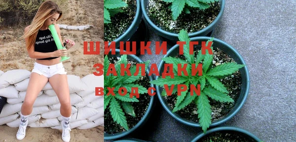 соль ск Горнозаводск