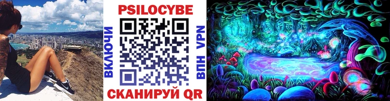 купить наркотики сайты  Енисейск  Галлюциногенные грибы Magic Shrooms 